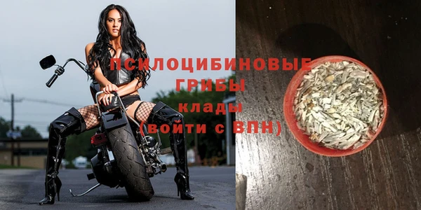 прущий лед Михайловка