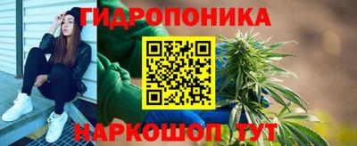дмт Заводоуковск
