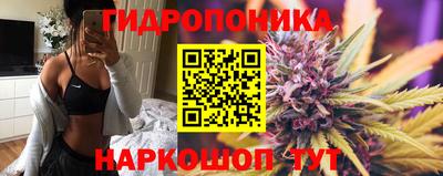 спиды Жуковский