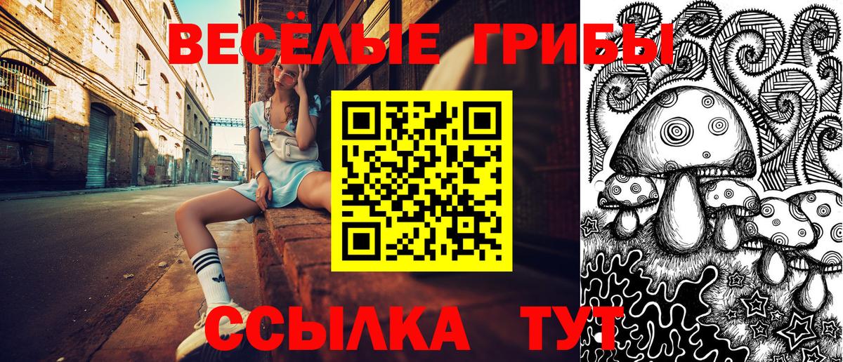 Псилоцибиновые грибы мухоморы Кизилюрт