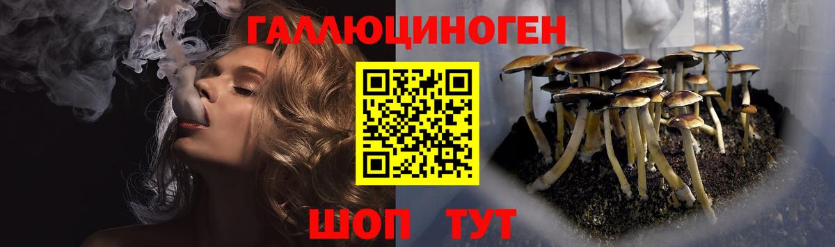 Псилоцибиновые грибы мицелий Кизилюрт