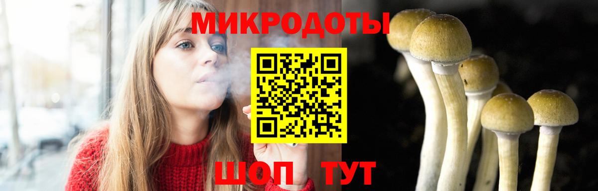 Кизилюрт  Галлюциногенные грибы Cubensis  Галлюциногенные грибы Psilocybe  Вход с VPN 