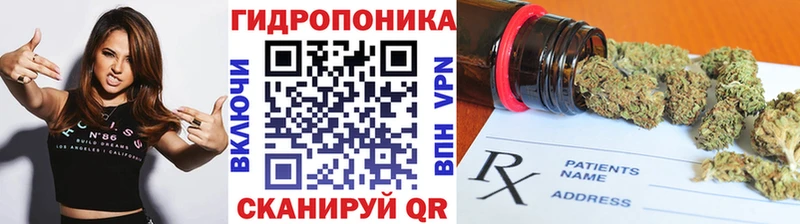 Каннабис MAZAR Кизилюрт
